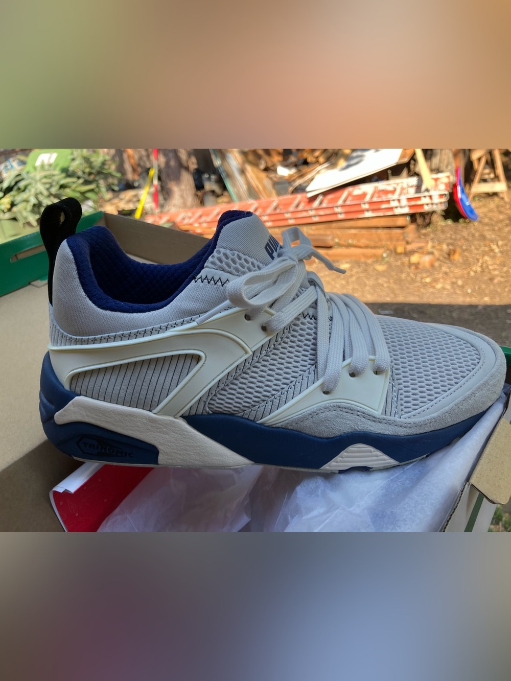 Puma blaze of glory bog Yankees bnib sz 8.5 rare